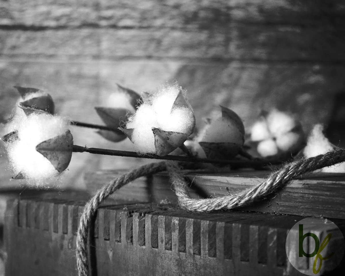 bohippianfinch's tweet photo. Black & White Artificial Cotton Stems on an Old Wood Block Color Photographic 16ร20 Print
https://t.co/KlfrtqkqA5
#facebookshop #instagramshop #photography #photographicprints #smallbusiness #rustic #country #farmhouse #cottonstems #rusticphotography #blackandwhitephotography https://t.co/Uinuc57CyE