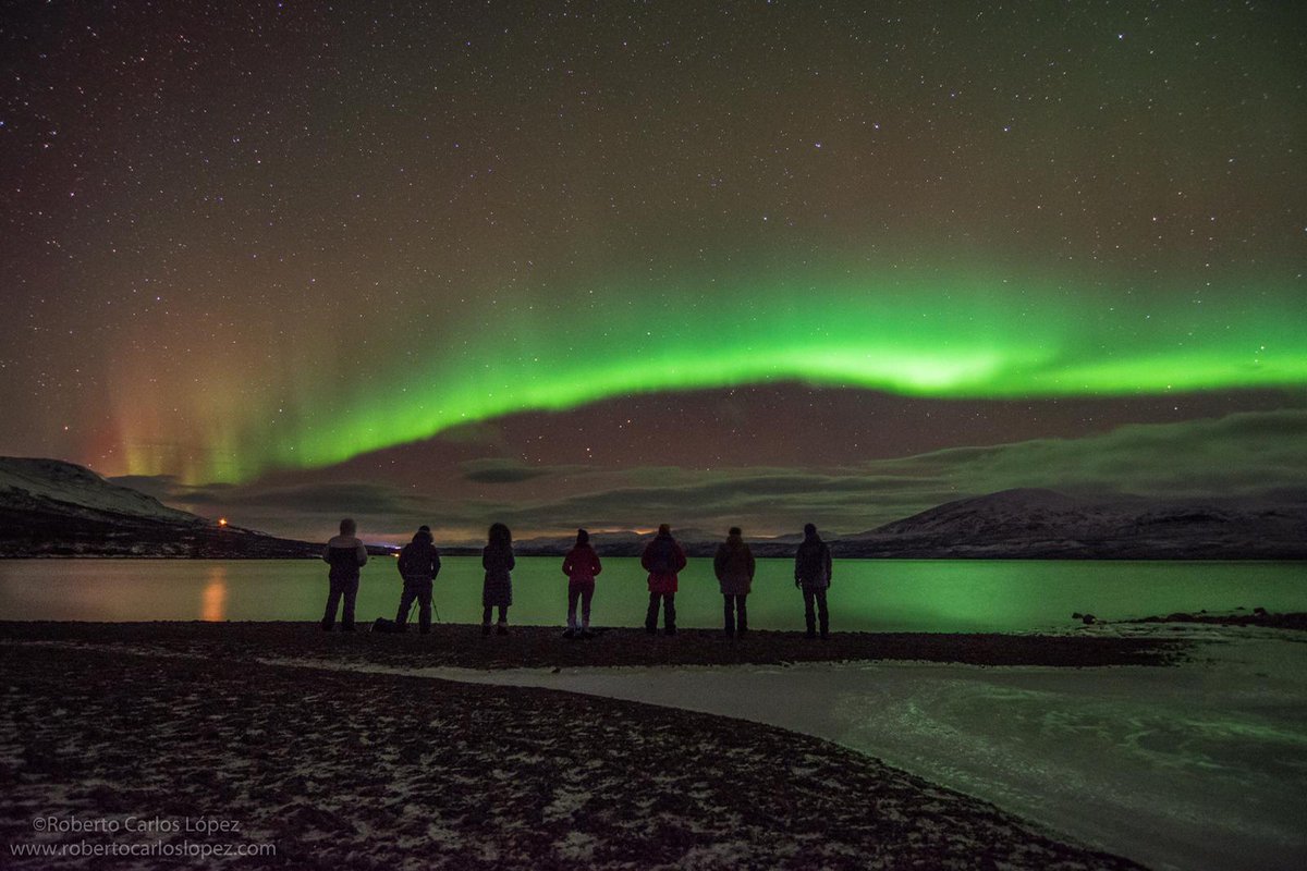 PangeaES's tweet photo. ¡Última plaza! ¡Nos falta un cazador/a de auroras para completar grupo! 🙃

Este sábado 20 nos vamos a Laponia Sueca a cazar auroras tan espectaculares como estas. ¡Salimos desde Madrid!

Para más info escribe un correo a nuestro compi @Bromotengger ➡ roberto.lopez@pangea.es https://t.co/Me57EDf6MU