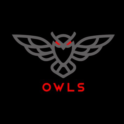 Owls Capital tweet media