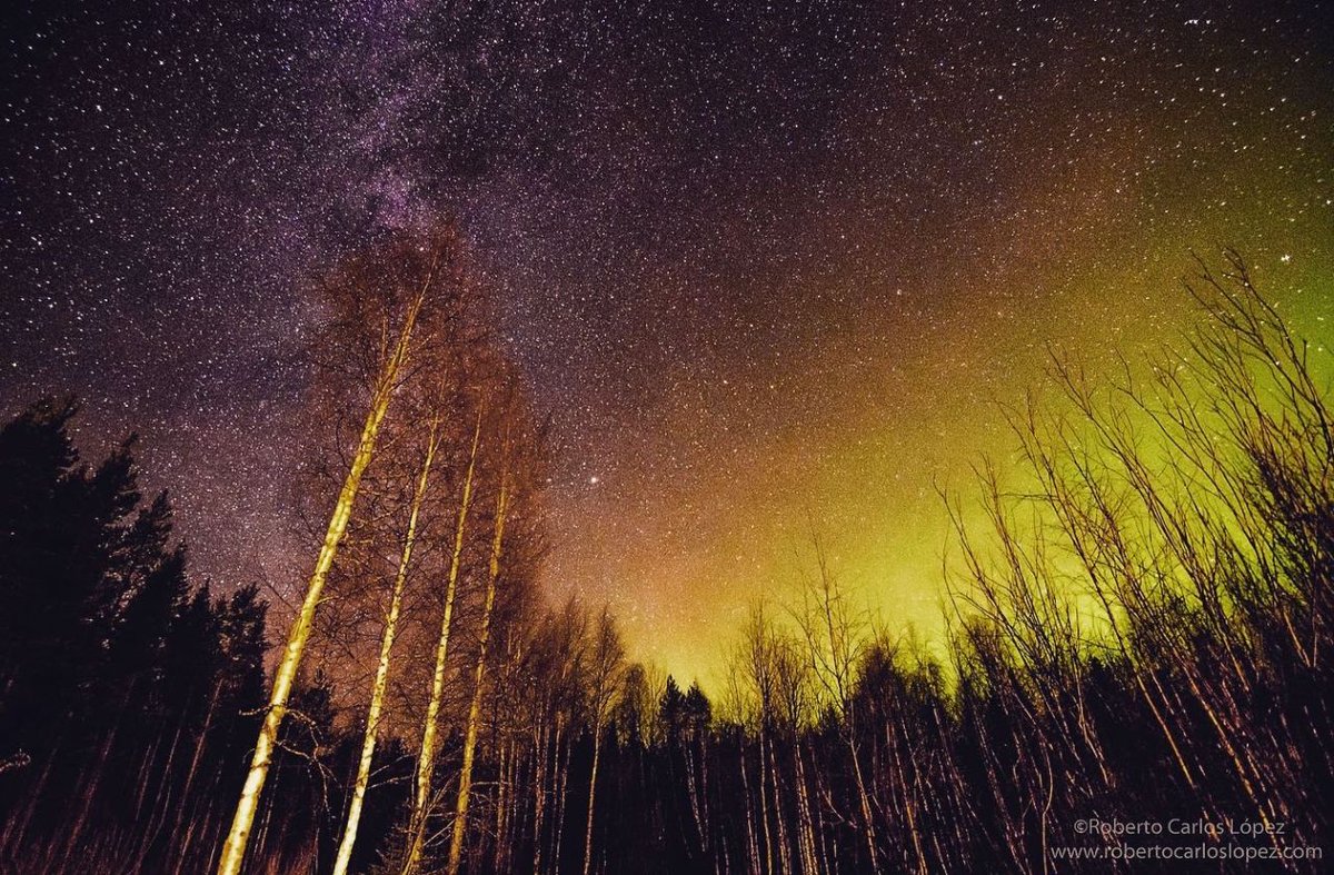 PangeaES's tweet photo. ¡Última plaza! ¡Nos falta un cazador/a de auroras para completar grupo! 🙃

Este sábado 20 nos vamos a Laponia Sueca a cazar auroras tan espectaculares como estas. ¡Salimos desde Madrid!

Para más info escribe un correo a nuestro compi @Bromotengger ➡ roberto.lopez@pangea.es https://t.co/Me57EDf6MU