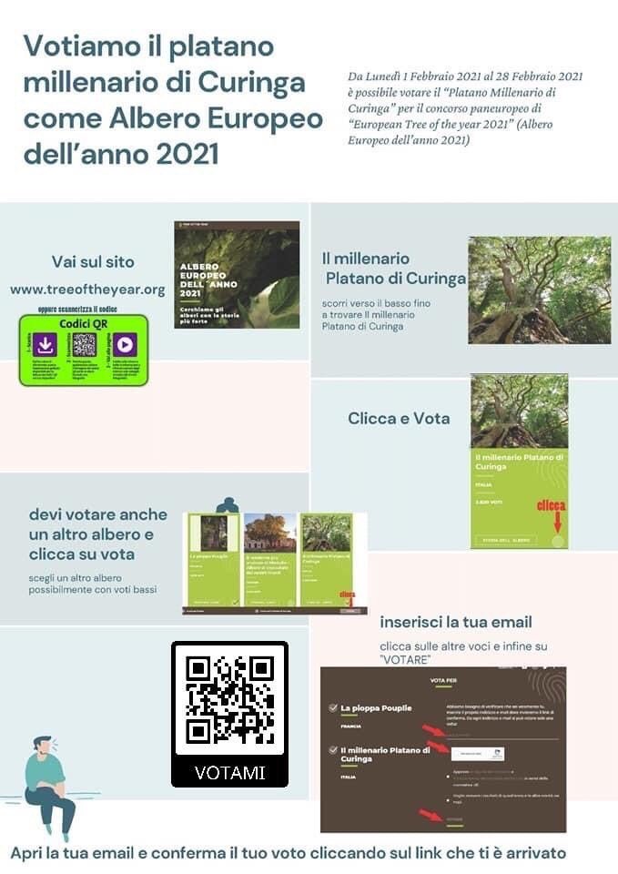 GiuseppeDenisi's tweet photo. @fulvioabbate Ciao Fulvio. Puoi condividere questa splendida iniziativa? 
Si tratta del Platano Millenario di Curinga, che oltre a essere l’unico albero calabrese, è anche l’unico albero italiano in gara in un contest europeo!
Grazie per il sostegno 🇮🇹 https://t.co/QEOjglYvBg