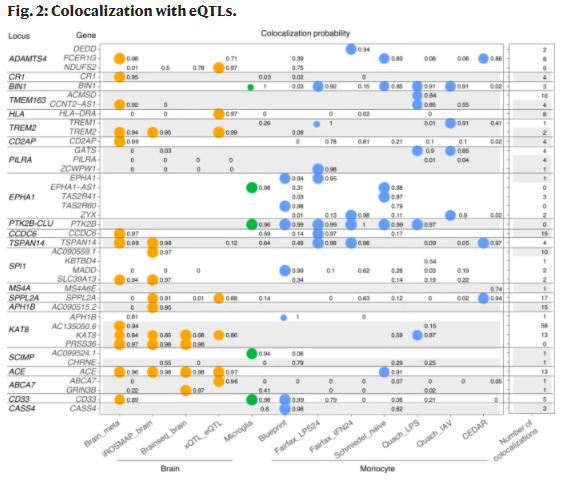 Nature Genetics (@naturegenet) on Twitter photo ✨Online today <a href="/NatureGenet/">Nature Genetics</a> from Andrew Bassett <a href="/jschwart37/">Jeremy Schwartzentruber</a> and colleagues: Genome-wide meta-analysis, fine-mapping and integrative prioritization implicate new Alzheimer’s disease risk genes🧠🧬| go.nature.com/3u1G432 ✨Online today <a href="/NatureGenet/">Nature Genetics</a> from Andrew Bassett <a href="/jschwart37/">Jeremy Schwartzentruber</a> and colleagues: Genome-wide meta-analysis, fine-mapping and integrative prioritization implicate new Alzheimer’s disease risk genes🧠🧬| go.nature.com/3u1G432