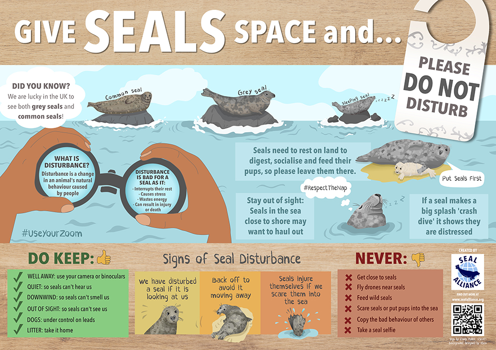 wardiebaybeach's tweet image. At #GrantonHarbour what sort of #harbourseal protection signage would people prefer to see? Something * educational * locally made * from a key authority * arty &amp;amp; soft * cool &amp;amp; clear * designed for adults * for kids * for both? Please reply with your responses. What is needed? 🦭