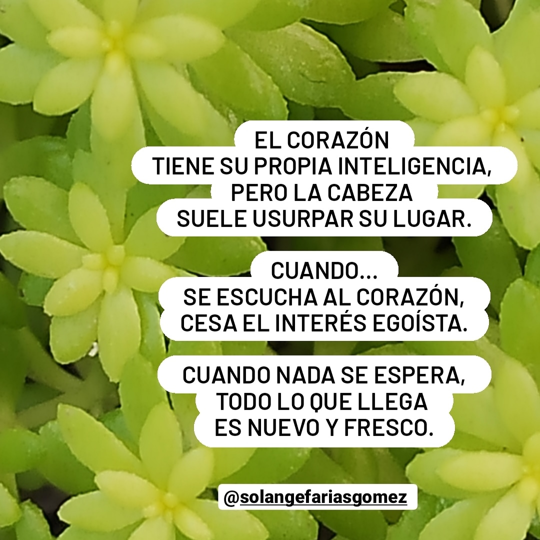 SolFariasGomez's tweet photo. https://t.co/WrSw4G751n