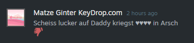 Das ist mit Abstand der schönste Kommentar, den ich bis jetzt auf Steam bekommen hab 😍