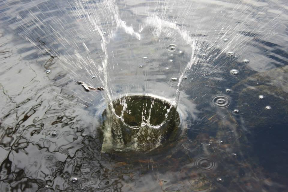 James McAvoy (@jamesmcavoy) on Twitter photo 