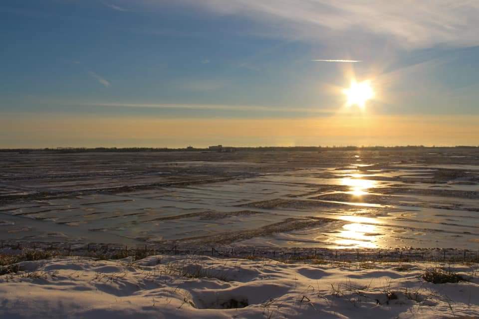 De laatste week was ook Yerseke bedekt met een laag sneeuw en ijs! Het was prachtig om te zien en veel mensen hebben ervan genoten! Het natuurgebied de Yerseke Moer, havens en oesterputten waren prachtig om te zien.

#yerseke #winter2021