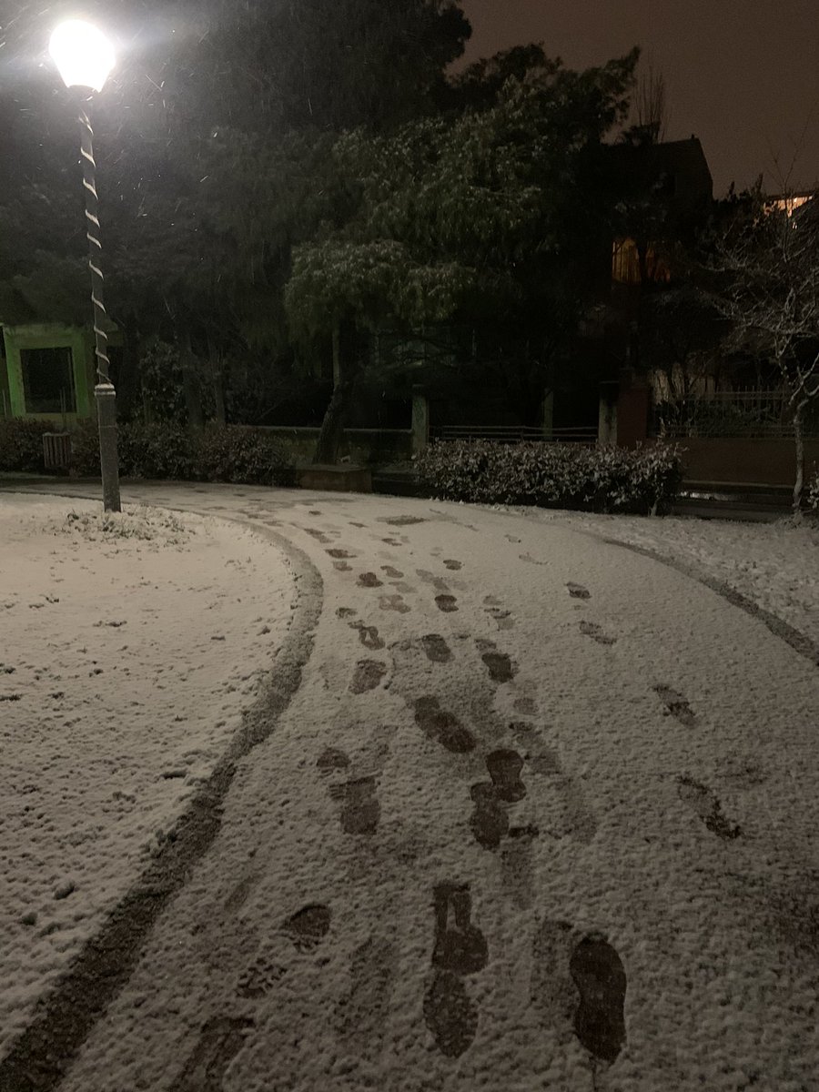 Sofia Kourtsouni tweet media