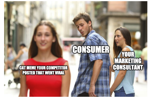 CustomWebsitesX's tweet photo. Cat meme marketing, upskilling, site inventory - here are a few creative things you can do to improve your business or blog during the cold month of February. https://t.co/lKhWbDjIJ8 /#womenintech #webdesign #upskill #webtips #marketing #podcast #amblogging #memes #dontgiveup https://t.co/1GE5yrgD67
