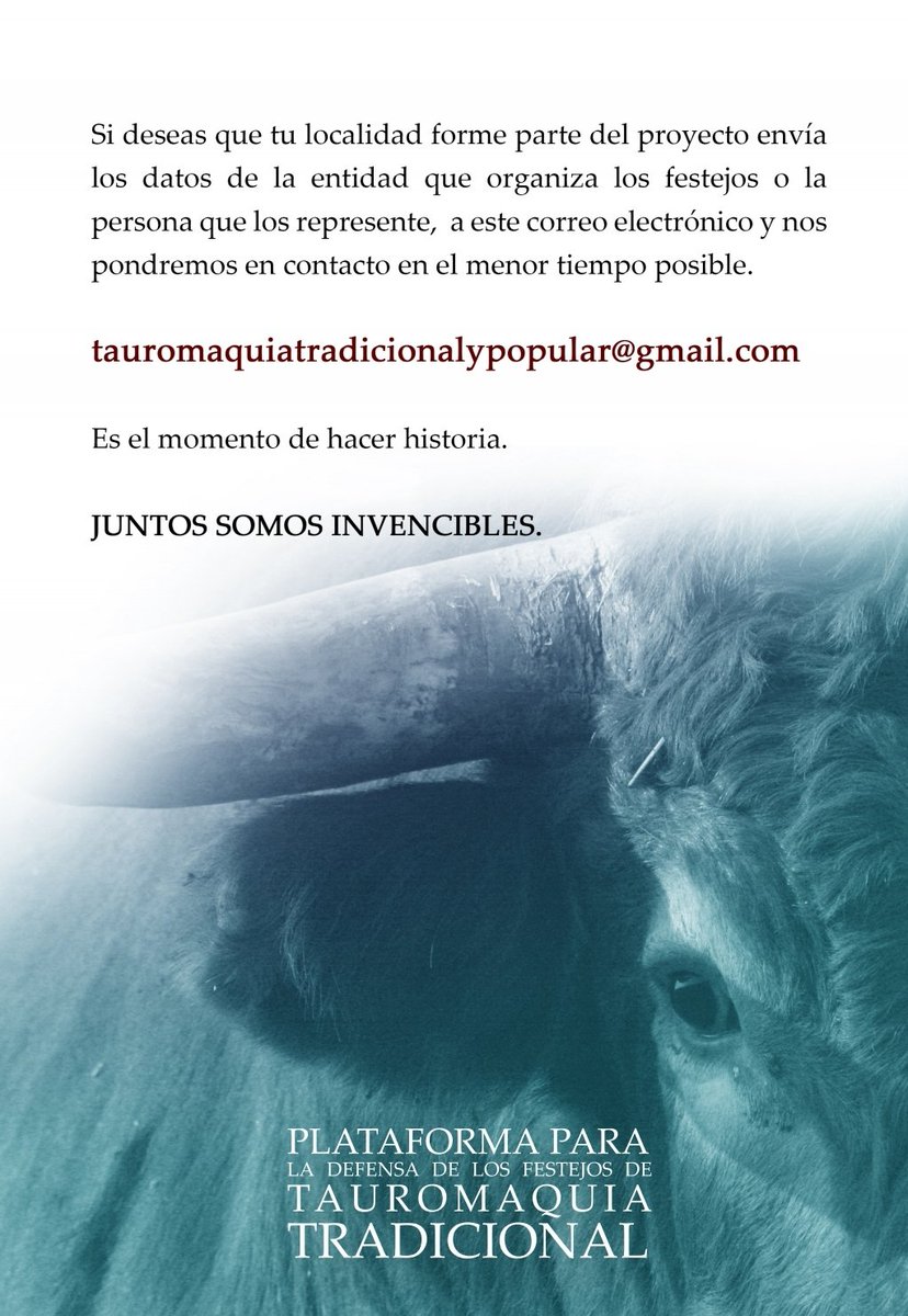 ¿Cuál es el mensaje y por qué unirse?
¿Cuáles son nuestras características?
¡Juntos somos invencibles!

tauromaquiatradicionalypopular@gmail.com
#SomosCulturaPopular