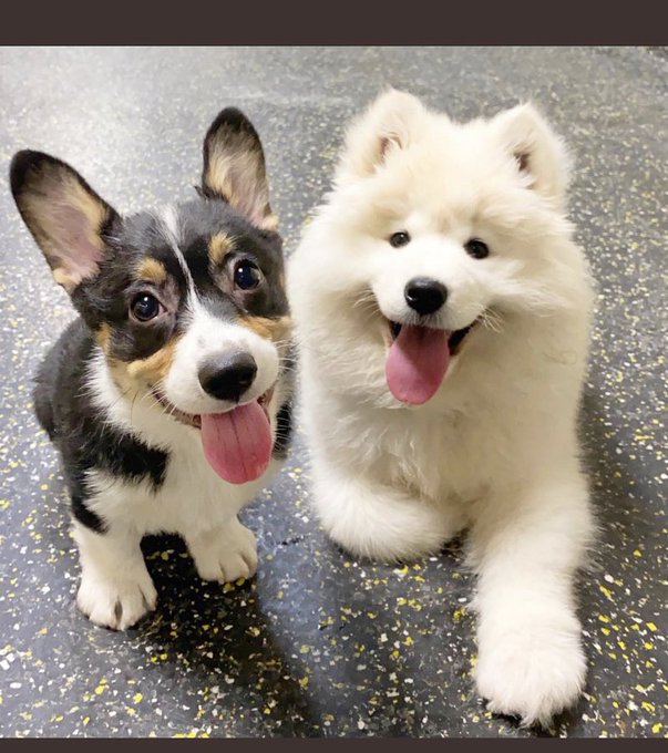 @ChanglingQuiet @AphroditeAudio @evertine11 https://t.co/UnMSbQ0HRa<a class="tags" target="_blank" title="On Twitter" href="/?out=eyJ0eXAiOiJKV1QiLCJhbGciOiJIUzUxMiJ9.eyJpYXQiOjE3MjYyODQ1MzQsImlzcyI6InR3cG9ybnN0YXJzLmNvbSIsIm5iZiI6MTcyNjI4NDUzNCwiZXhwIjoxNzU3ODIwNTM0LCJyZWRpcmVjdF91cmwiOiJodHRwczovL3R3aXR0ZXIuY29tL0NoYW5nbGluZ1F1aWV0In0.hDfGczaW2nfvmcKdAxhs8Frsp65e8hTFmjExiw6LEfne2cUS9zq_SrBnfzMCe0gOUKcZInmeA_TKGHwlK93J-Q">@ChanglingQuiet</a><a class="tags" target="_blank" title="On Twitter" href="/?out=eyJ0eXAiOiJKV1QiLCJhbGciOiJIUzUxMiJ9.eyJpYXQiOjE3MjYyODQ1MzQsImlzcyI6InR3cG9ybnN0YXJzLmNvbSIsIm5iZiI6MTcyNjI4NDUzNCwiZXhwIjoxNzU3ODIwNTM0LCJyZWRpcmVjdF91cmwiOiJodHRwczovL3R3aXR0ZXIuY29tL0FwaHJvZGl0ZUF1ZGlvIn0.WY-bsqtROqdmXXPOyz4vag4SZCNkgjPEDgDGawFvdaFVXBFmGgknIGlw4VYhqFOZKJrggXcJzSIemdgGKl51tg">@AphroditeAudio</a><a class="tags" target="_blank" title="On Twitter" href="/?out=eyJ0eXAiOiJKV1QiLCJhbGciOiJIUzUxMiJ9.eyJpYXQiOjE3MjYyODQ1MzQsImlzcyI6InR3cG9ybnN0YXJzLmNvbSIsIm5iZiI6MTcyNjI4NDUzNCwiZXhwIjoxNzU3ODIwNTM0LCJyZWRpcmVjdF91cmwiOiJodHRwczovL3R3aXR0ZXIuY29tL2V2ZXJ0aW5lMTEifQ.Tb7sNgQehq9gD22VUgEXg1O1Bt7YEo9GSxi8hu41jBh-xu_AvCtPGB-K76nxCeCOah_Da4QySYjaVW4Hk8crzg">@evertine11</a><a href="/tag/lovechubbygirls"class="tags"><span>#lovechubbygirls</span></a>