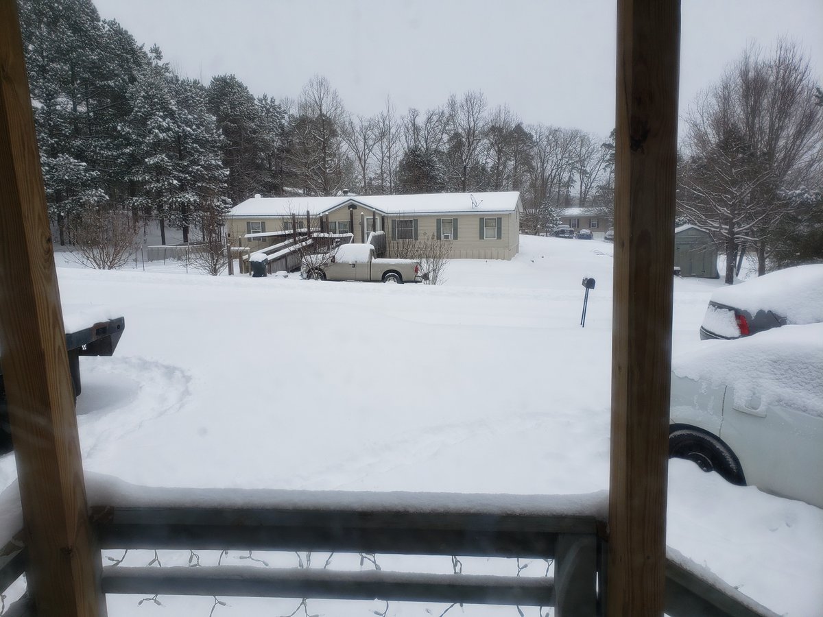 Mary Dailey Butler tweet media