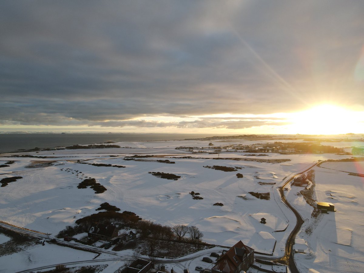 David Snodgrass tweet media