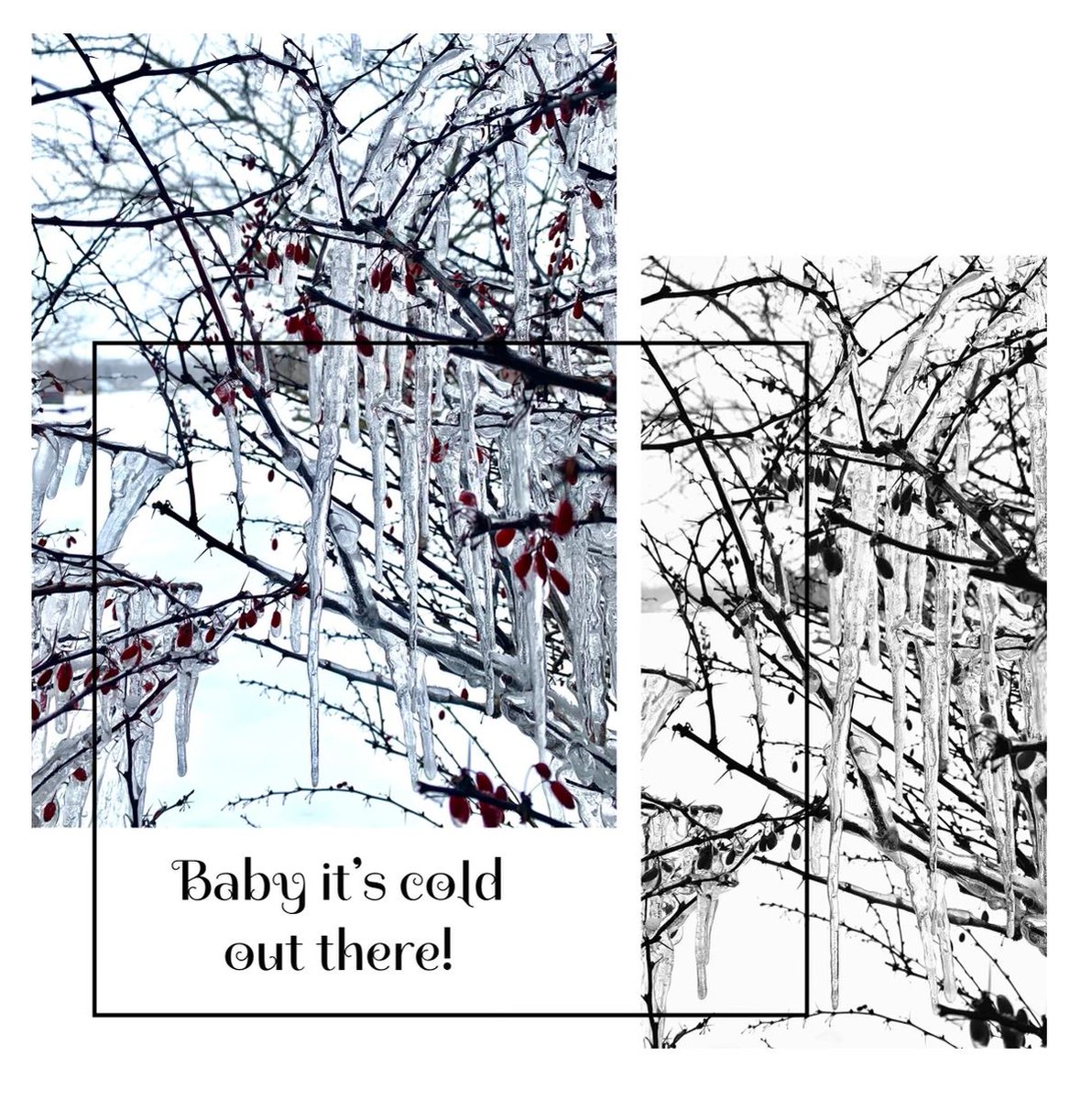 T2Designs's tweet image. Icicles at the office today... stay warm out there! 🥶