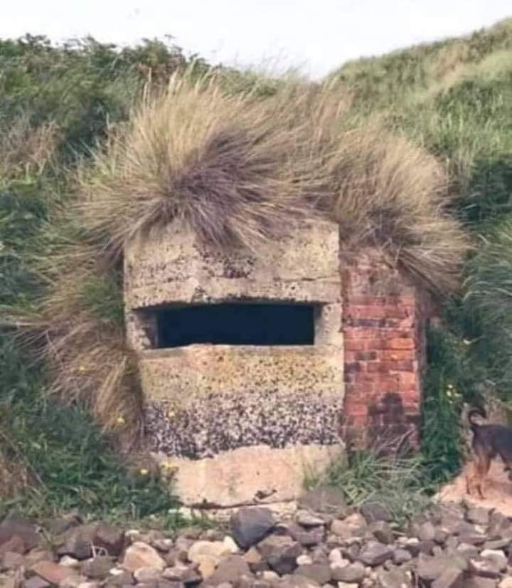 Nick_Ruskell's tweet photo. Rod Stewart's looking good https://t.co/NyDIluG4KE