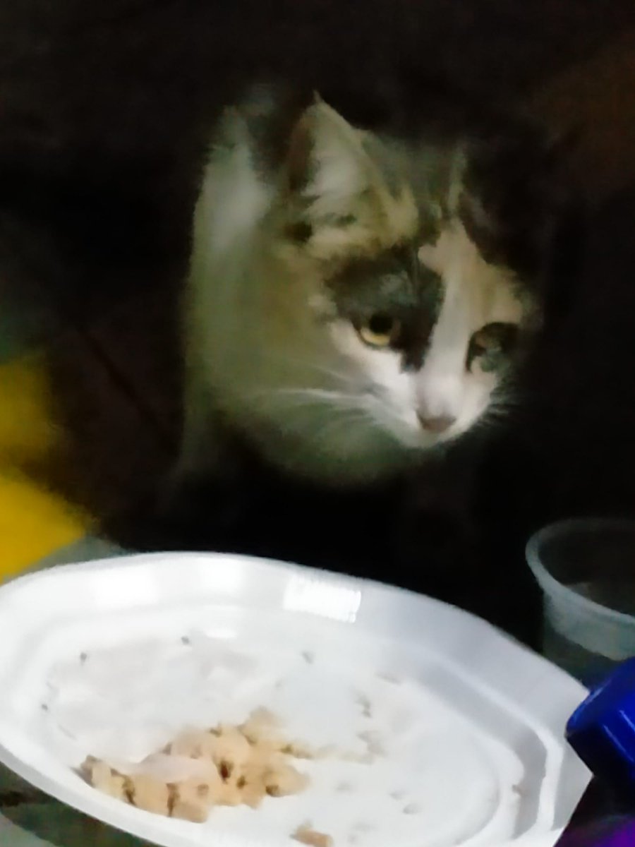 Believe In Nargles tweet media