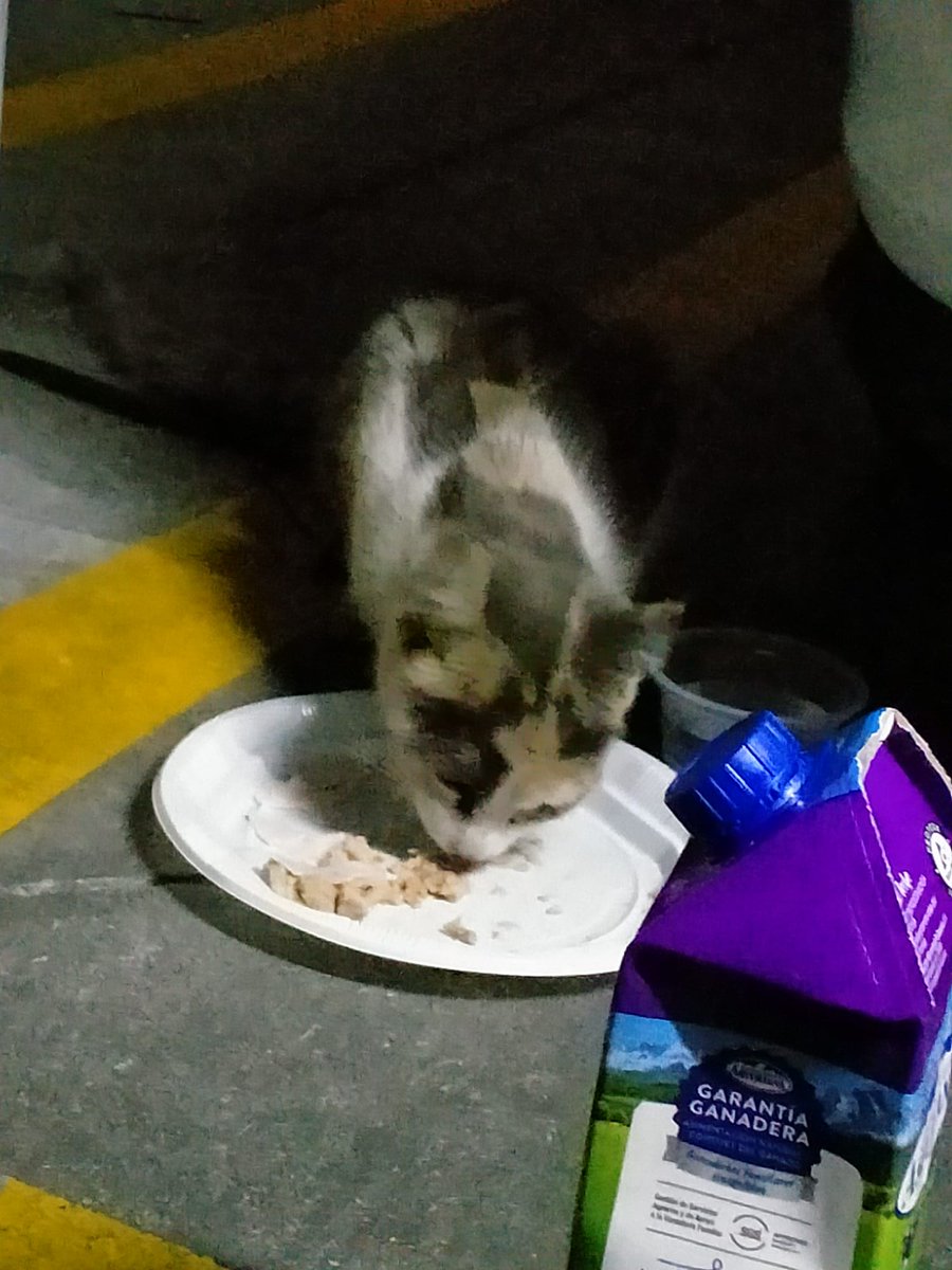 Believe In Nargles tweet media