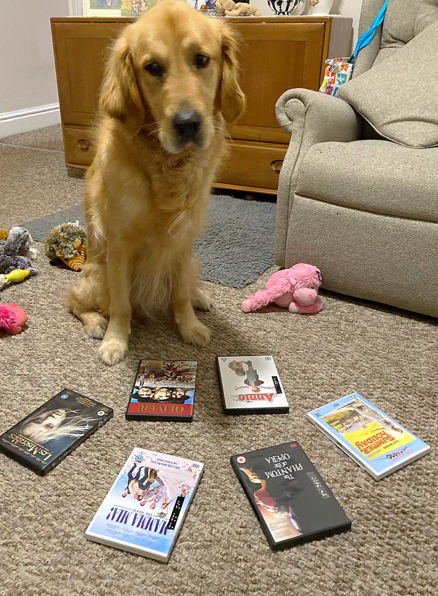 lucyj_95's tweet photo. @brumhippodrome @CarverAdam King Dusty ready for the final week! He’s already picked out Les Mis to watch later 🇫🇷 https://t.co/HkbSl72YL5