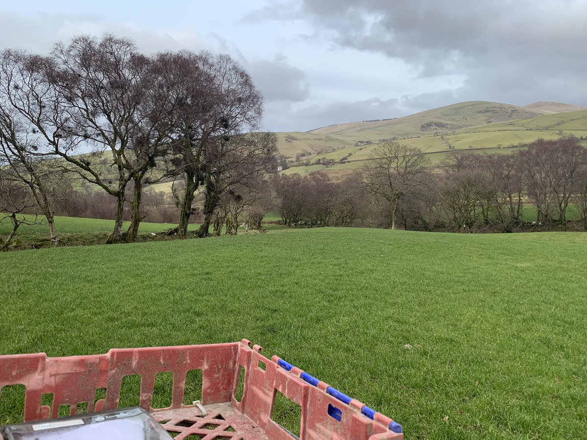 DafyddJonesBSc's tweet photo. Quick measure of the mountain platform today, things are shaping up well for plenty of feed pre and post lambing! Ewes should be back on grass in a month to lamb on the 5th of April 👌 #uplandgrazing #tickingover #grassgrowsgrass https://t.co/AnCrxtGmAx