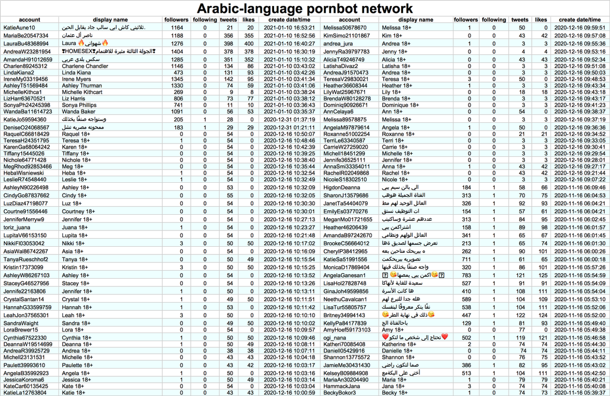 This network consists of 303 accounts created from November 2020 to January 2021, with particularly large batches created on November 13th, November 15th, and December 16th, 2020.