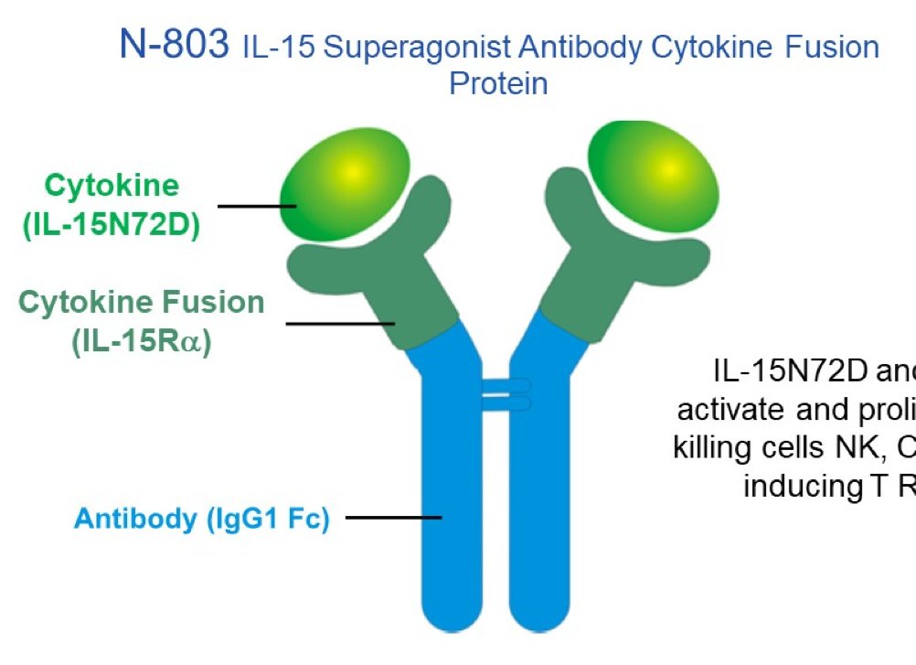 N-803 (aka ALT-803) is a fusion protein: IL15 with N72D mutation (to increase affinity) fused to IL15 receptor (IL15Ra) and IgG1 Fc (improves PK and activity). The resultant IL15 superagonist activates effector NK cells and CD8+ memory T cells, without activation of Tregs.3/n