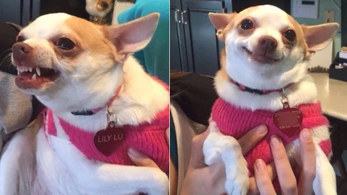 valeriecast11's tweet photo. The girls behind Matt’s back vs the girls when Matt’s around. #TheBachelor https://t.co/tlSE5HmmJk