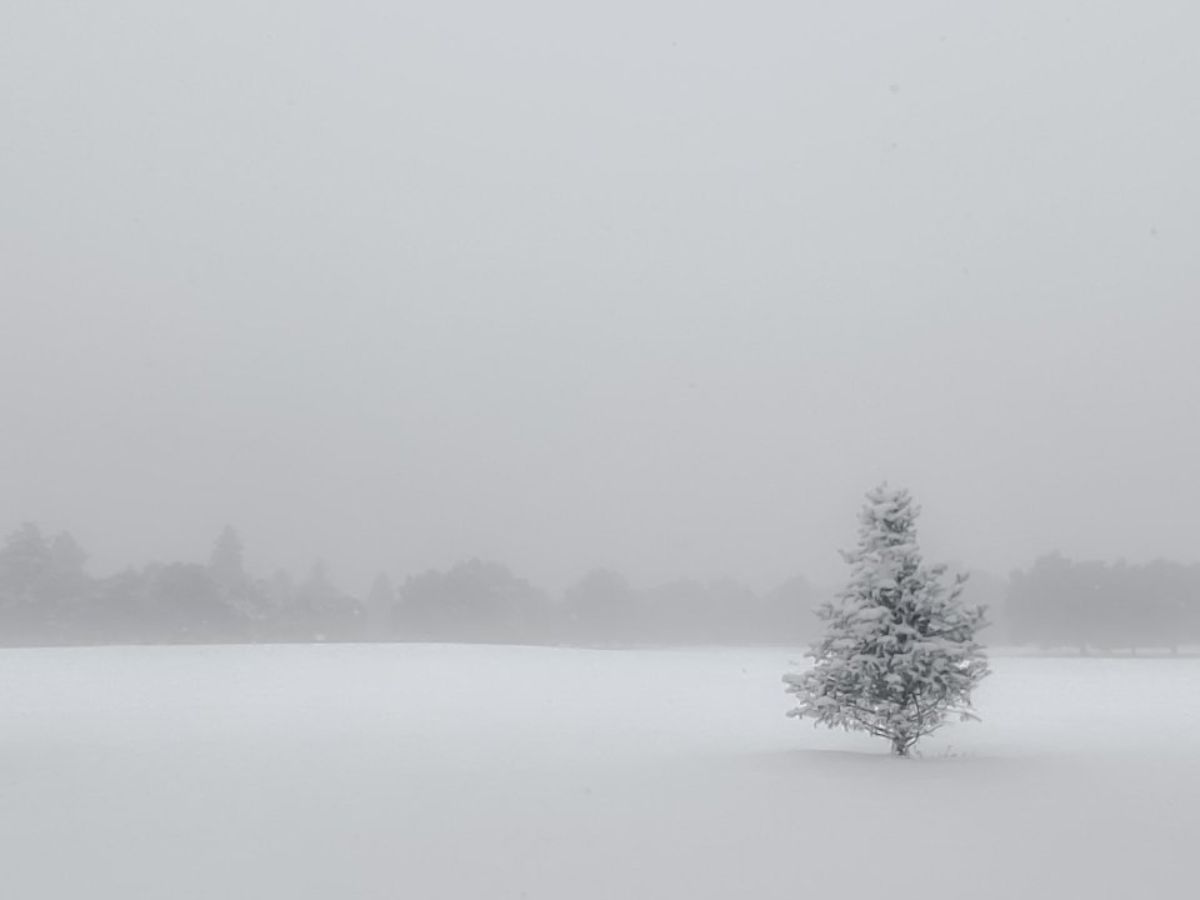 Track and Fitness Center Closed 2/16 Due to Inclement Weather - mailchi.mp/815bd43fe75f/t…