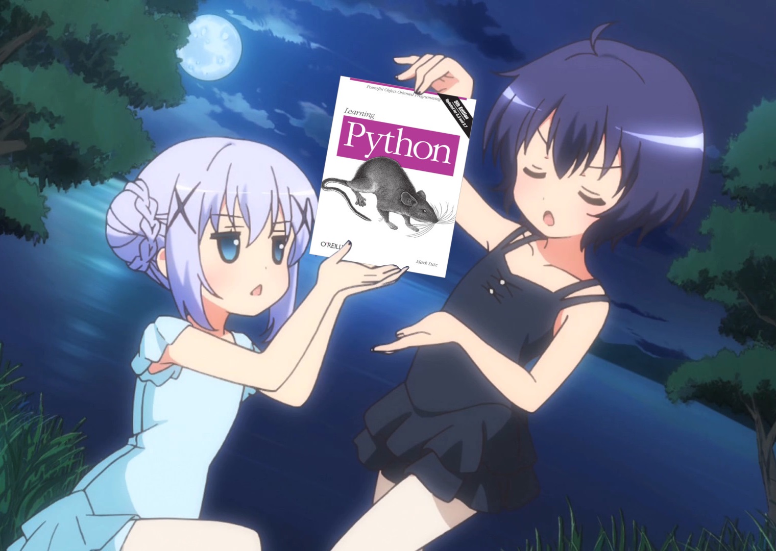 Twitter 上的every day an anime girl holding programming books：