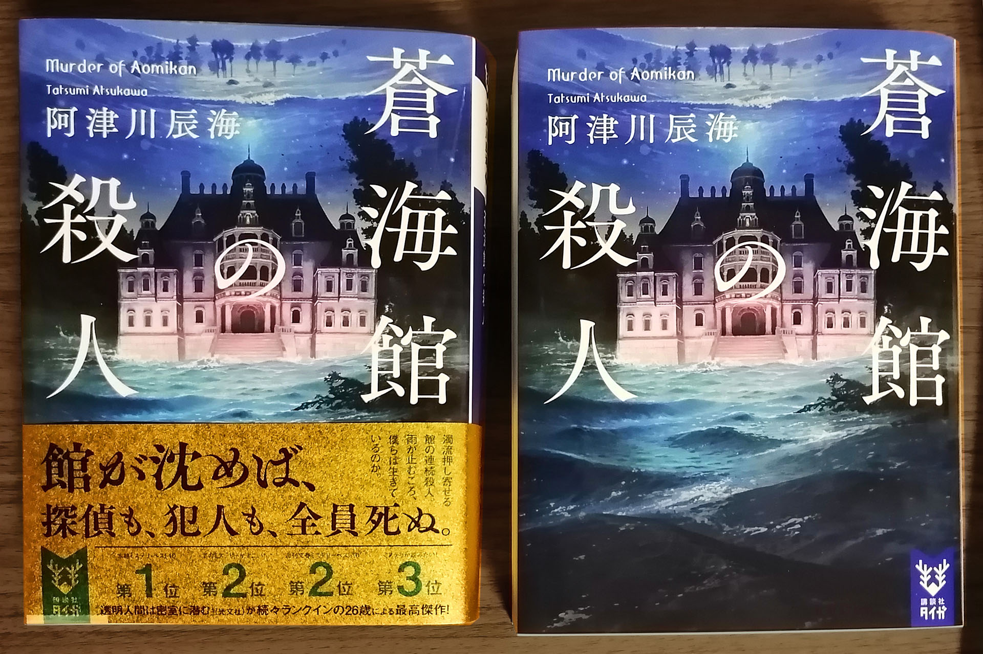 Takeshi Oga 本日発売 蒼海館の殺人 阿津川辰海 著 講談社タイガ カバーイラストを描きました 一昨年に刊行された 紅蓮館の殺人 の続編 シリーズ二作目です 前作は火事で 今回は洪水ということでまた大変なことになっています T