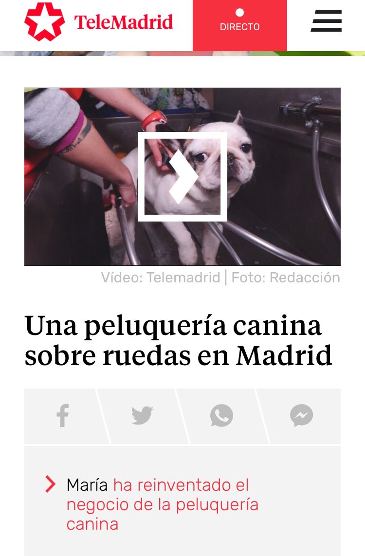 petzunas's tweet photo. Hoy he salido en @MadridDirecto en @telemadrid 🤩🤩🤩 https://t.co/BPSqMW8rQs