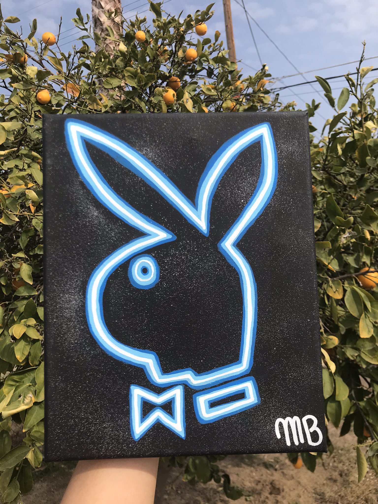 Playboy Neon Sign Board