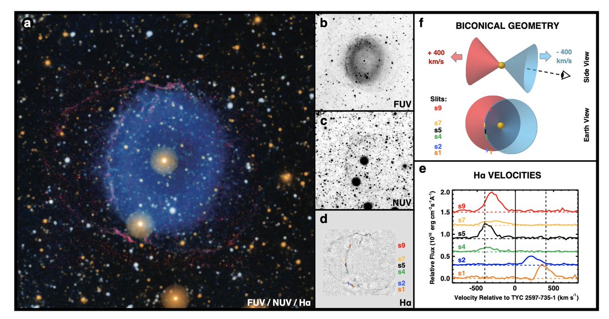 fox_ori's tweet photo. Real Data Alert 🚨🚨🚨
His Nth @nature paper of the year, an eye-popping #galex @sdssurveys, @WISE_Mission, and #2mass composite image of an unusual, ring-shaped ultraviolet nebula formed by the now-merged stars shown brightly in the center.
@kenjshen @bluekilonova #astrospax https://t.co/UBcP6m15SD