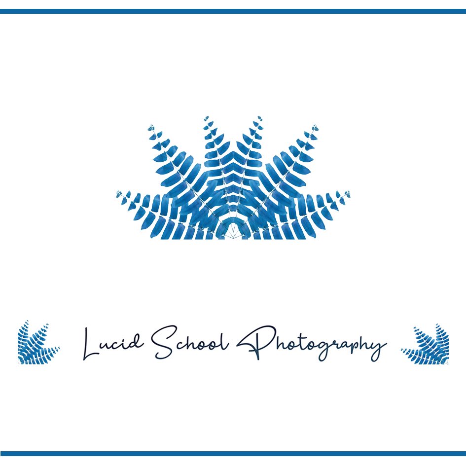 LucidSchoolPhotography tweet media
