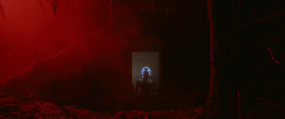 Autoscopy, Claes Nordwall