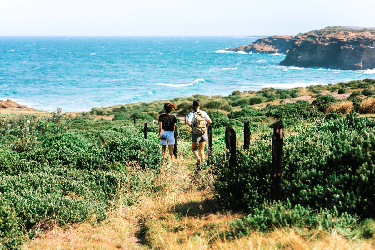 Destination NSW tweet media
