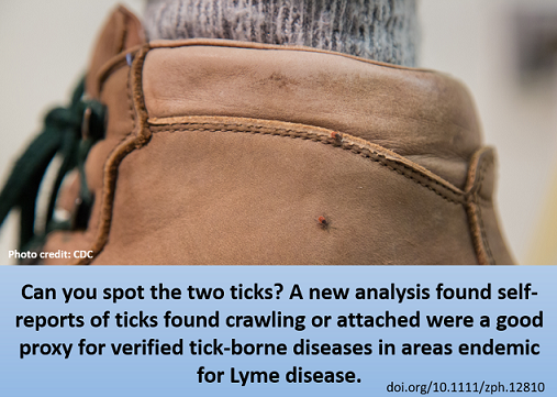 YaleEIP's tweet photo. Using data from #TickNET studies in CT, MD, and NY, researchers found self-reported tick encounters served as a proxy for tick-borne diseases in areas endemic for Lyme disease. https://t.co/AlXQ0scs0x @YaleEIP #TBD #TickCheck https://t.co/qwlukjBOed
