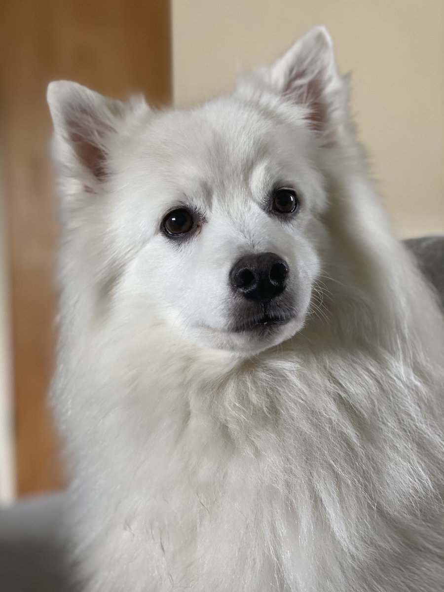 Angelina Clark tweet media