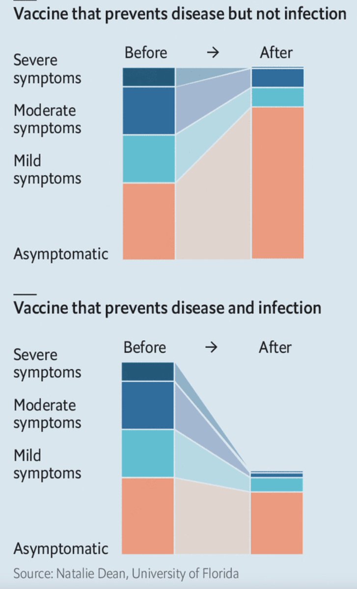 1. Asymptomatic  #SARSCoV2 carriers after vaccines, as aptly drawn by  @nataliexdean (adapted  @TheEconomist) Even w/ the most highly effective vaccines (below), there'll likely be carriers, who can transmit, because shots aren't expected to achieve sterilization/mucosal immunity