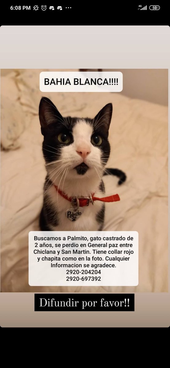 EmanuLozano's tweet photo. A ver twitter si podes servir para algo. Hace 10 días se perdió un familiar de unas amigas y en esta situación que vivimos sería lindo que con la ayuda de la gente de acá podamos reencontrarlas. Denle rt por favor 🙏 https://t.co/zsMDbK3Ii9