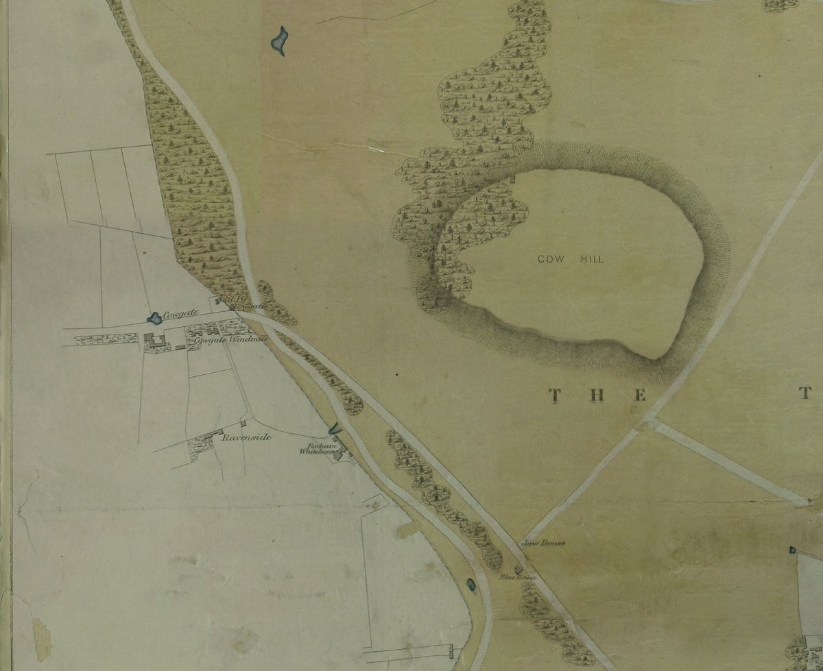 Here's the top left. Cow Hill is roughly at the site of the A167 junction with Grandstand Rd, and once the site of a Toll House to Coxlodge. Cowgate windmill and a couple cottages are also illustrated, as seen here. Spot the little pond as well which existed decades after!