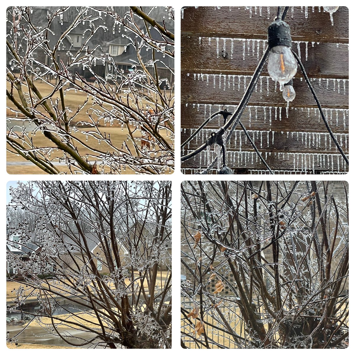 Icy in Athens, Alabama