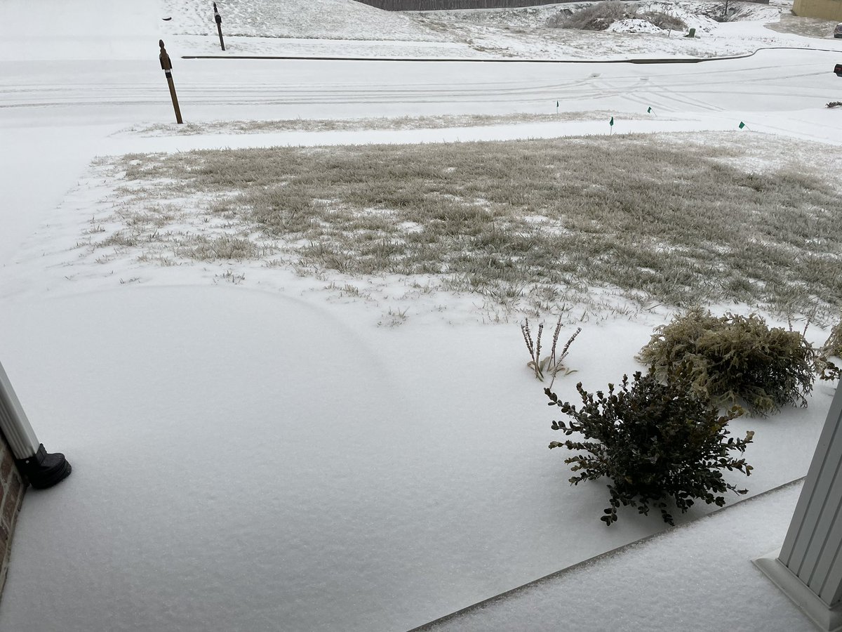 JoshYost83's tweet photo. Mostly sleet so far on the north side of Richmond at 5:00.  Grass still has some ice on it from last week. @Kentuckyweather https://t.co/hT7avKsMI1