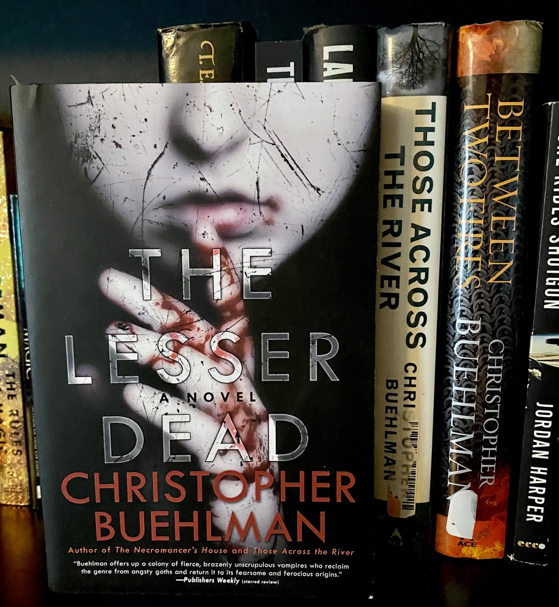 Had to buy a  @Buehlmeister book I didn’t have! Starting his books soon; they sound wonderful