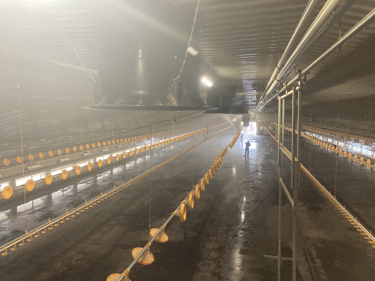 _PrecisionClean's tweet image. Top tip, cleaning @draperVENT AHU’s gives you prime position to spy on the others in the shed and check all is going well 👌