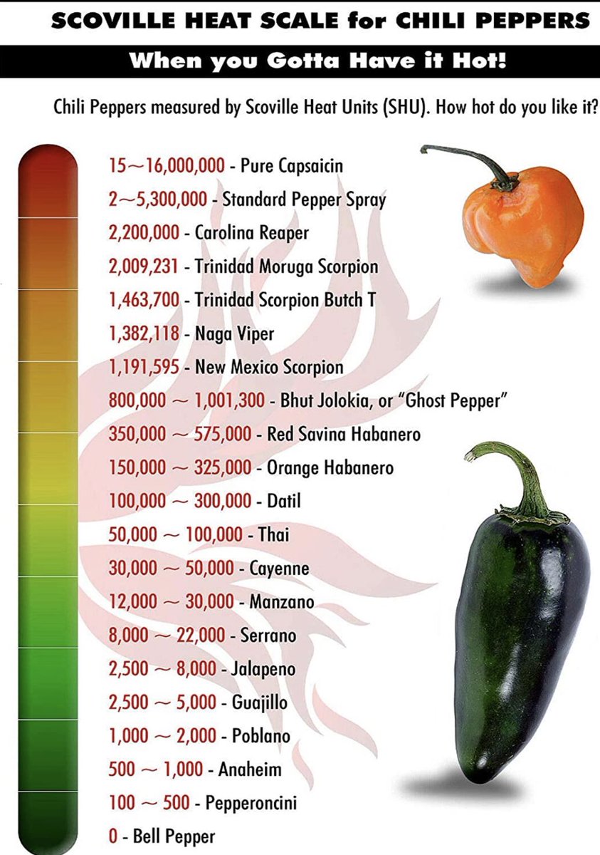 I’m a person who loves and also come from a hometown known for it’s spicy 🌶 food, I so far only had upto ghost pepper and I’m dying. Cant imagine “standard” pepper spray or pure capsaicin. #spicyfood #ghostchilipepper