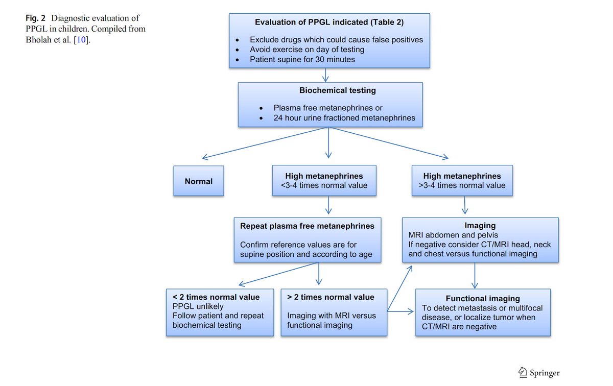 19/ This helpful diagram from a comprehensive review or PCC/PGL (PMID:30603807) summarises an approach to diagnostic evaluation:
