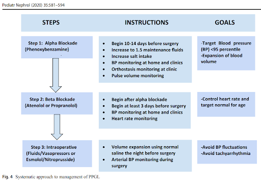 22/ There are no internationally approved protocols for management of PCC/PGLsThe table below summarises a suggested approach (PMID:30603807)Metyrosine = tyrosine hydroxylase inhibitor catecholamine synthesis +/- alpha blockers can  BP lability peri-op
