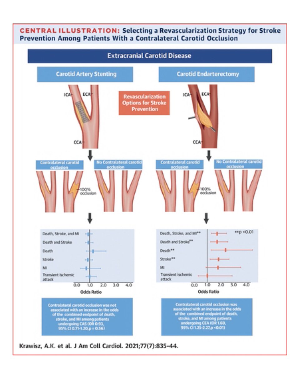Pts w/ contralateral carotid occlusion (CCO) are high-risk for carotid revasc. How does CCO impact outcomes for undergoing carotid artery stenting (CAS) vs CEA?Check out our paper  http://bit.ly/3tZCTJ7&nbsp; in  @JACCJournals and Tweetorial !  @EricSecemskyMD