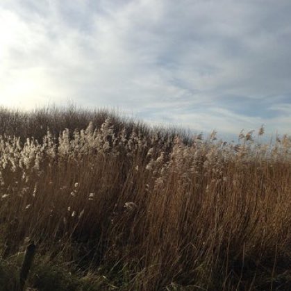 خالد الفهد tweet media