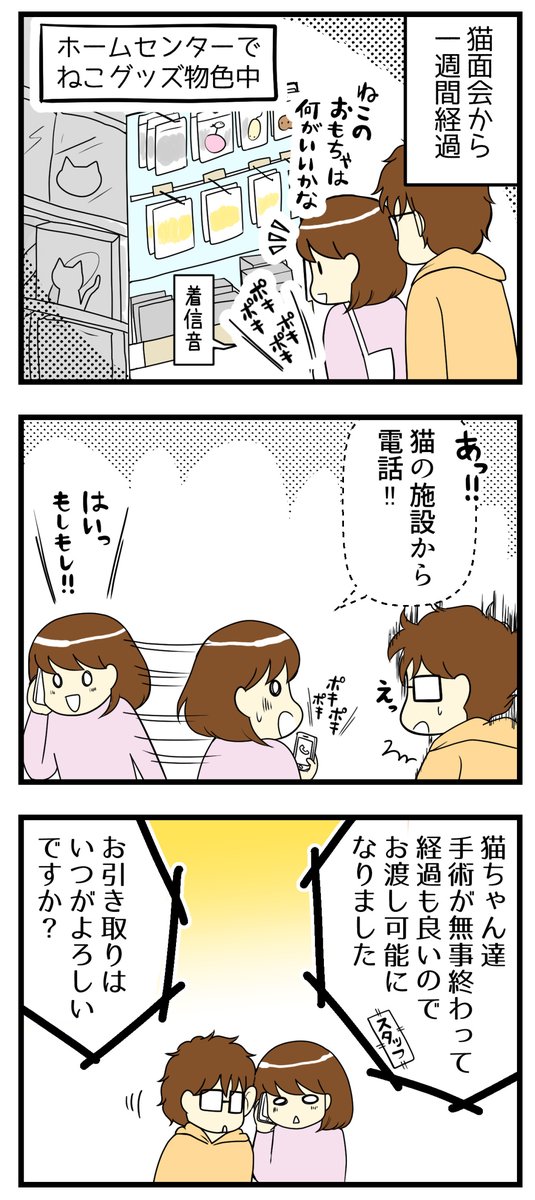 猫探し編⑫⑬-猫を飼うために用意したものと、急きょのお迎え! #漫画が読めるハッシュタグ #保護猫 #猫のいる暮らし